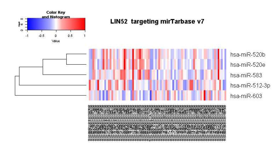 LIN52 mRNA 고저발현에 따라 구분 후 mirTarbase v7로 관련 miR level확인한 자료