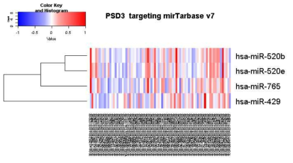 PSD3 mRNA 고저발현에 따라 구분 후 mirTarbase v7로 관련 miR level확인한 자료. mRNA발현이 낮은 부분에서 miR등이 고발현되고 있는 것을 확인할 수 있다. 그러나 일부 mRNA가 높은 부분에서도 miR가 높은 발현을 보이고 있어서 명백하게 정의할 수 없다