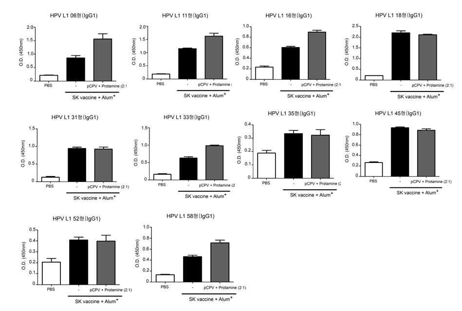 1차 면역후 혈청 내 HPV 10가 타입별 specfic 항체(IgG1)가 ELISA 결과