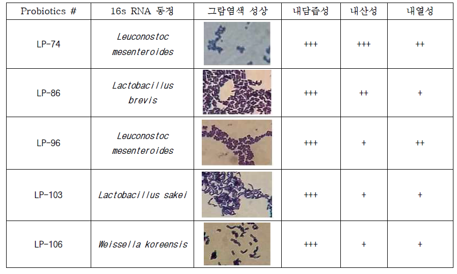 확보된 probiotics 5종