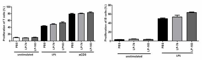 비장세포를 CFSE로 염색한 후 LPS 또는 anti-CD3 antibody로 자극한 후 CD4+ helper T cells의 증식 확인