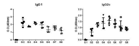 2차 면역 후 혈청 내 HPV 10가 단백질에 대한 항체 (IgG1, IgG2c)가 ELISA 결과