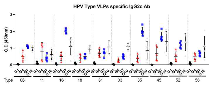 2차 면역 후 혈청 내 HPV 10가 타입별 specfic 항체(IgG2c)가 ELISA VLP 3결과