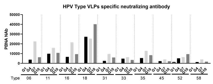 pseudotype virus를 이용한 타입별 specific 중화항체가 VLP3 결과 (2차면역후 혈청)