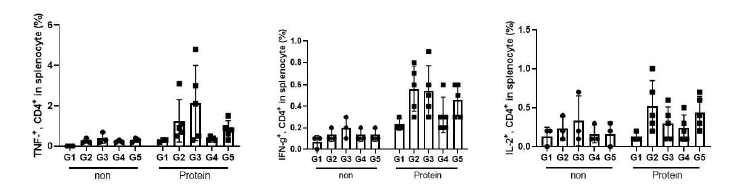 boosting 후 마우스 비장세포를 이용한 TNF-a + CD4 + , IFN-r + CD4 + , IL-2 + CD4 + FACS 결과