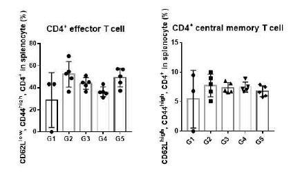 boosting 후 마우스 비장세포를 이용한 CD4 effector, central memory T cell FACS 결과