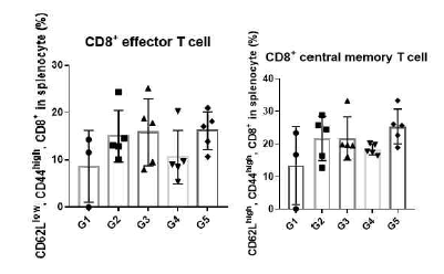 boosting 후 마우스 비장세포를 이용한 CD8 effector, central memory T cell FACS 결과