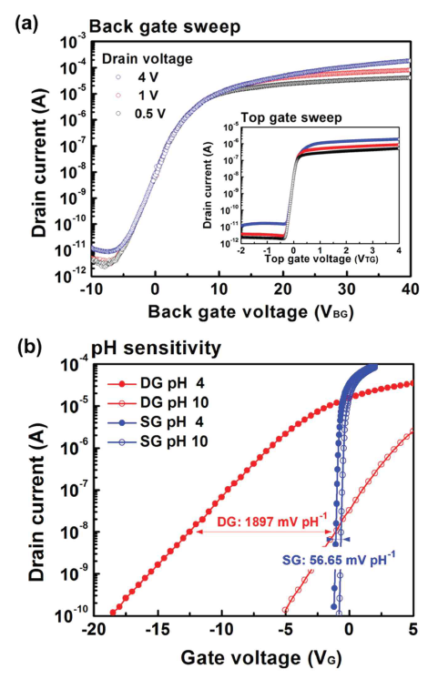 그림 Gate sweep에 따른 (a) IRUS transfer curve 및 (b) pH 민감도 특성