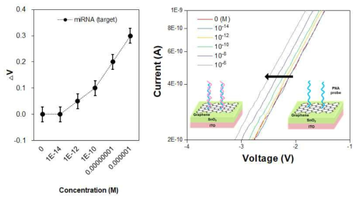 그래핀을 융합한 IRUS 센서를 활용한 miRNA 센싱 결과