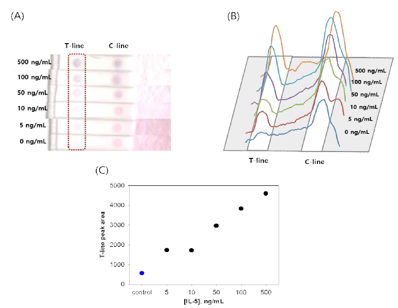 (A) 비색법 면역크로마토그래피 IL-5 검출 실험결과 사진, (B) 색분석을 통한 발색신호세기 그래프, (C) IL-5 농도별 발색신호 검정곡선