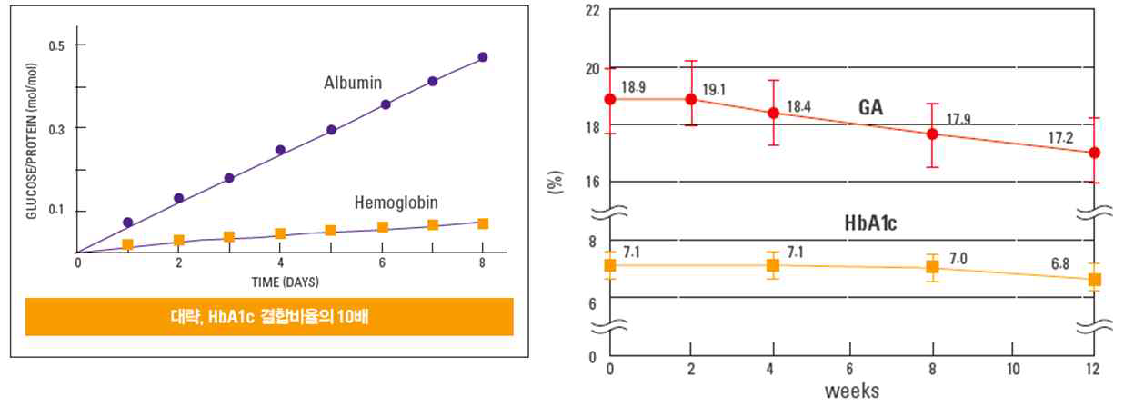 (A)알부민과 헤모글로빈의 글루코스와의 결합비율 (B)약물 치료기간 중의 당화알부민과 당화혈색소의 변화[검사의학vol.02 2012]