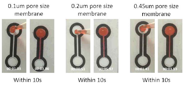 각 pore size membrane 별 흐름성 비교