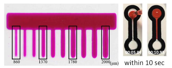 Polytethersulfone membrane에서의 확립된 공정 기법에 따른 공정한계 및 흐름성