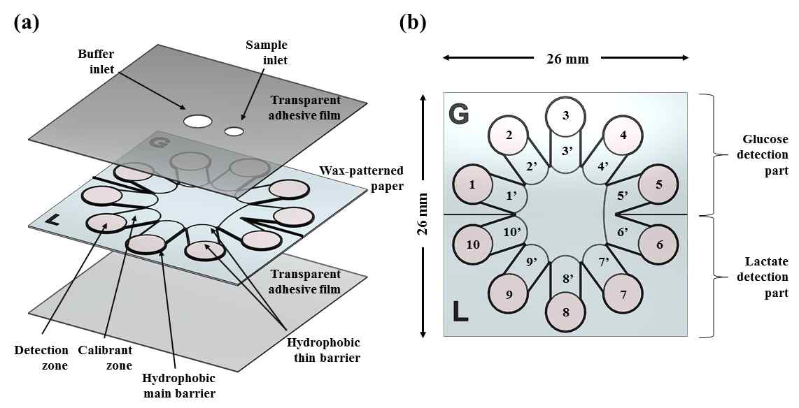 Microfluidic paper-based analytic device (μPAD)의 제작 및 준비