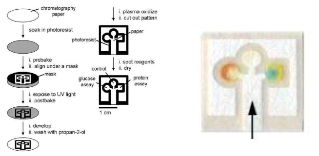 포토리소그래피 공정을 이용한 페이퍼 패터닝 방법과 패터닝된 페이퍼 칩에서의 바이오물질 검출 [Angew.Chem.Int.Ed.2007,46,1318–1320]