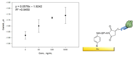 Conjugation chemistry를 이용하여 CCP검출을 위한 센서의 감응 및 모식도