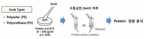 자체 제작한 추출액에 대해, swab에 흡수시키는 모델 단백질(BSA) 농도 및 수동교반 시행여부에 따른 단백질 회수율 비교 평가 실험 개략도