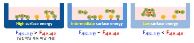 고분자 폴리머 증착을 통한 세포배양 표면에너지 조절을 통한 세포의 선별적 클러스터화 개요
