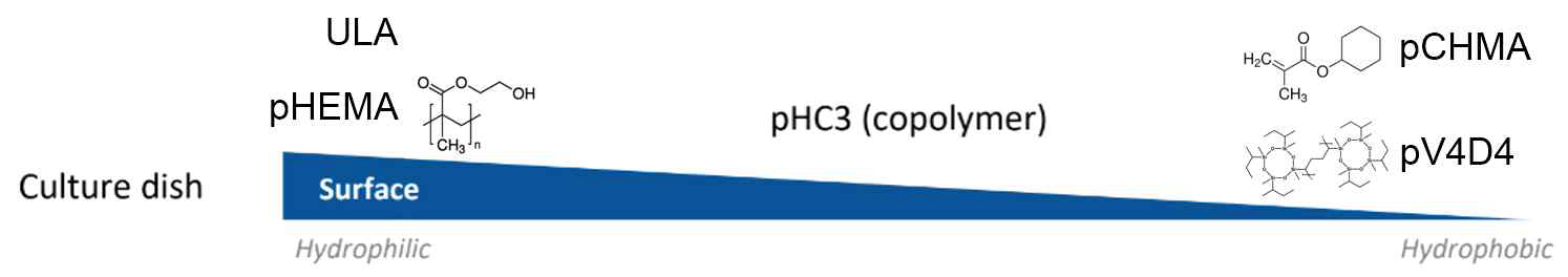 세포배양 표면에너지의 조절을 위한 다양한 고분자 폴리머 탐색