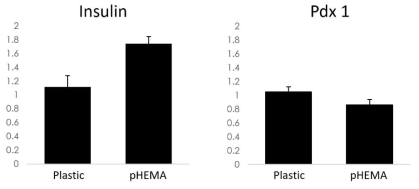 Low-binding petri plastic 플레이트와 pHEMA 코팅된 플레이트 위에서 3일동안 배양된 MIN 6 세포 클러스터의 insulin 과 pdx1 유전자 발현량