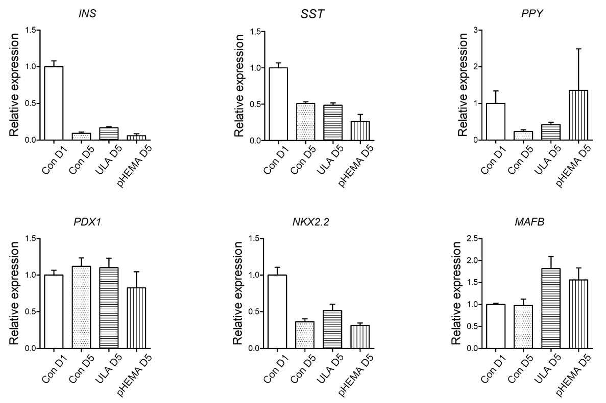 Low-binding petri plate와 여러 폴리머 박막 코팅 플레이트 위에서 배양된 EC 클러스터의 1일차 및 5일차 분화관련 유전자 발현량