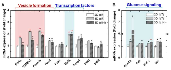 세포 배양 조건 및 배양 시간에 따른 mRNA 발현량. (A) Vesicle formation과 transcription factors에 관련된 유전자 발현량. (B) Glucose uptake 연관 유전자에 발현량. (*p<0.5, **p<0.01)