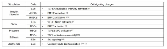 다양한 물리적 자극에 따른 세포 활성 유전자 신호전달체계