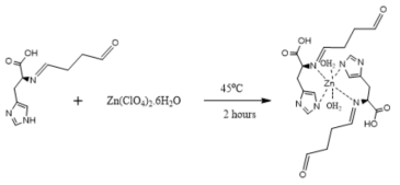 Zn-His 복합체 합성