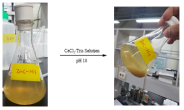 Zn-His 복합체를 이용한 CaCO3 생산