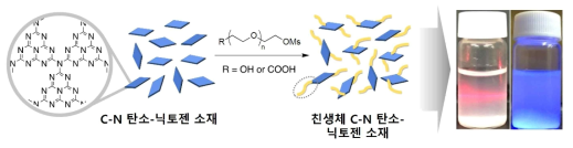 생체 친화 기능기 도입을 통한 박리된 C-N 탄소-닉토젠 저차원 소재 표면 개질 기술 방법 예시