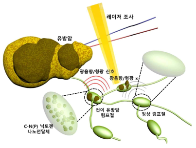 본 연구에서 제안하는 모식도