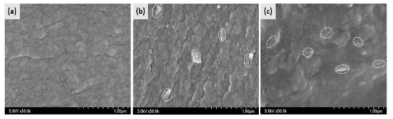 SEM images of (a) neat UV-cured resin; (b) 5 wt% CNC in UV-cured resin; (c) 5 wt% CNC-MPTS in UV-cured resin