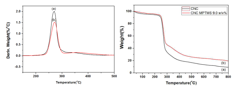 TGA weight loss curves and DTG curves of; (a) CNC, and (b) CNC-MPTMS 9.0 w/v%