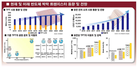 반도체 박막 트랜지스터 시장/기술 동향