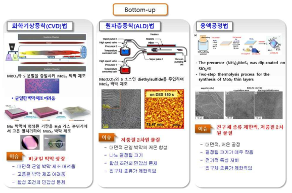 bottom-up 방식에 의한 2차원 소재 제조방법 및 문제점