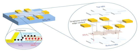 h-BN Encapsulation과 tunable graphene contact을 통한 multi-terminal transport 측정 소자 모식도