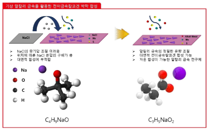 알칼리 금속을 시드로 한 고품질의 2차원 소재 합성