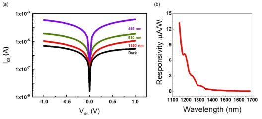 Bi2O2Se로 제작한 광센서 (photodetector) 특성. (a) 파장에 따른 photocurrent (b) 파장에 따른 감광도(responsivity)