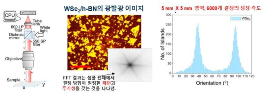 WSe2/h-BN의 광발광 이미지 및 성장 각도