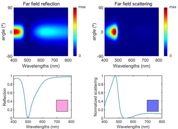 FDTD로 계산한 원거리장과 근거리장 반사와 산란