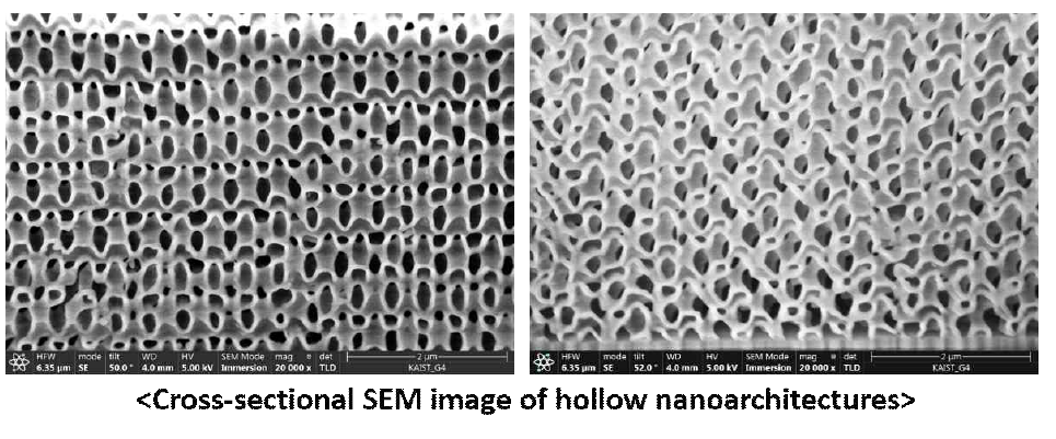 고분자 나노아키텍쳐를 주형으로 사용하여 원자층 증착 기법으로 알루미나 층을 형성한 후 내부 고분자를 연소시켜 제작한 hollow 세라믹 나노아키텍쳐 시편의 단면 SEM image