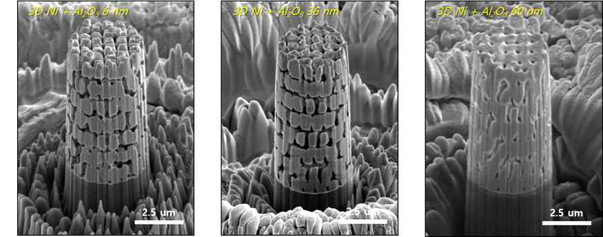 Ni/Al2O3 3차원 나노 구조의 마이크로 필라