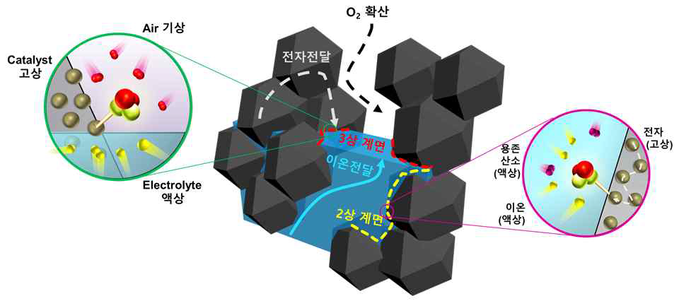 리튬-공기 전지의 성능 결정 인자 모식도