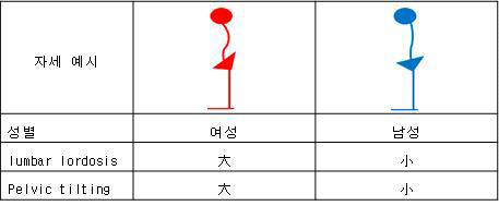 남녀의 허리, 골반 차이