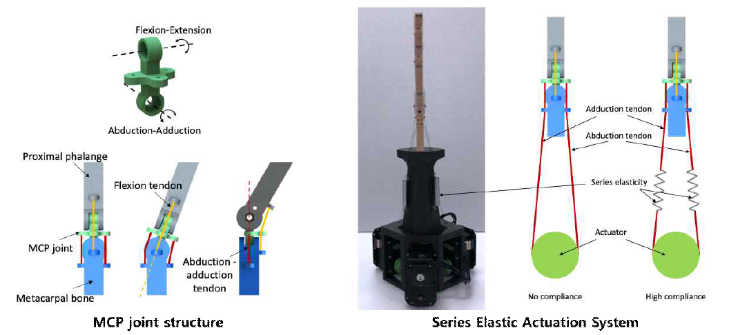 MCP 관절 구조 및 직렬 탄성 동력 시스템