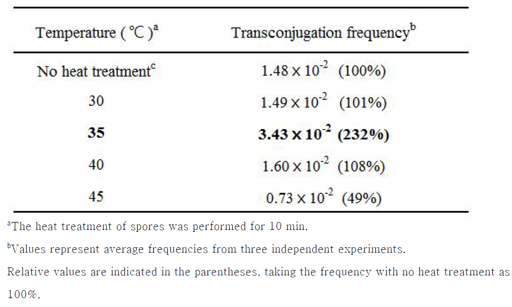 Effects of heat treatment of spores on transconjugation efficiency