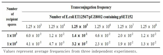 Effects of the number of E. coli donor cells on transconjugation efficiency