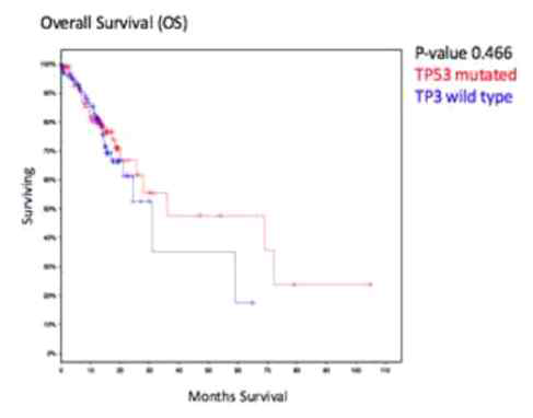 There is no different clinical results significantly between TP53MUT and TP53WT gastric patients (p-value was 0.466 with TCGA STAD dataset)
