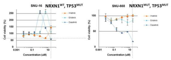 Differential drug (Dasatinib) response for TP53 mutatant GC cells according to NRXN1 mutation status