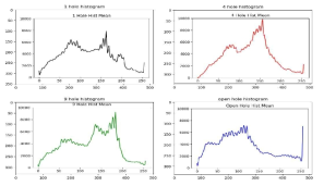 Histogram means per each section